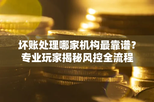 武汉坏账处理哪家机构最靠谱？专业玩家揭秘风控全流程