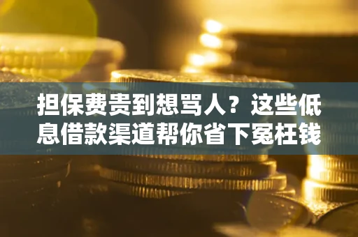 武汉担保费贵到想骂人？这些低息借款渠道帮你省下冤枉钱