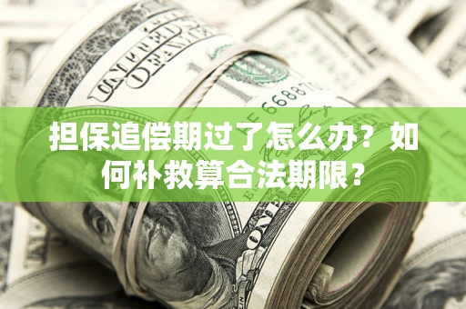 武汉担保追偿期过了怎么办？如何补救算合法期限？