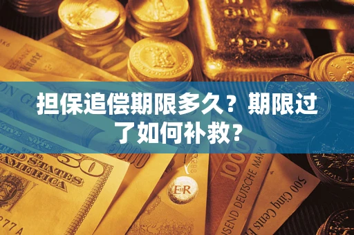 武汉担保追偿期限多久？期限过了如何补救？