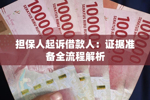 武汉担保人起诉借款人：证据准备全流程解析