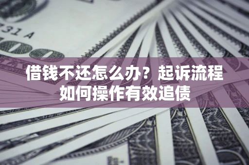 武汉借钱不还怎么办？起诉流程如何操作有效追债