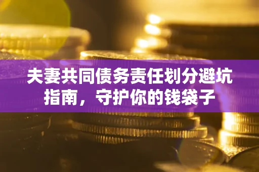 武汉夫妻共同债务责任划分避坑指南，守护你的钱袋子